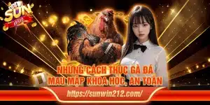 Những cách thúc gà đá mau mập khoa học, an toàn