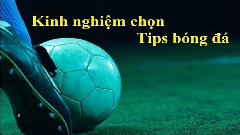 Kinh nghiệm chọn tip bóng đá là gì